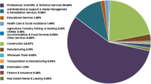 All Small Mentor-Protégé Program 2020 Mid-Year Report