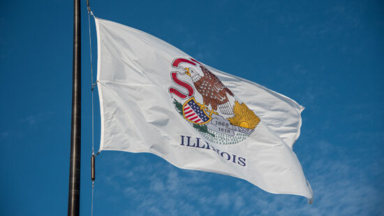 Bid Protests in Illinois