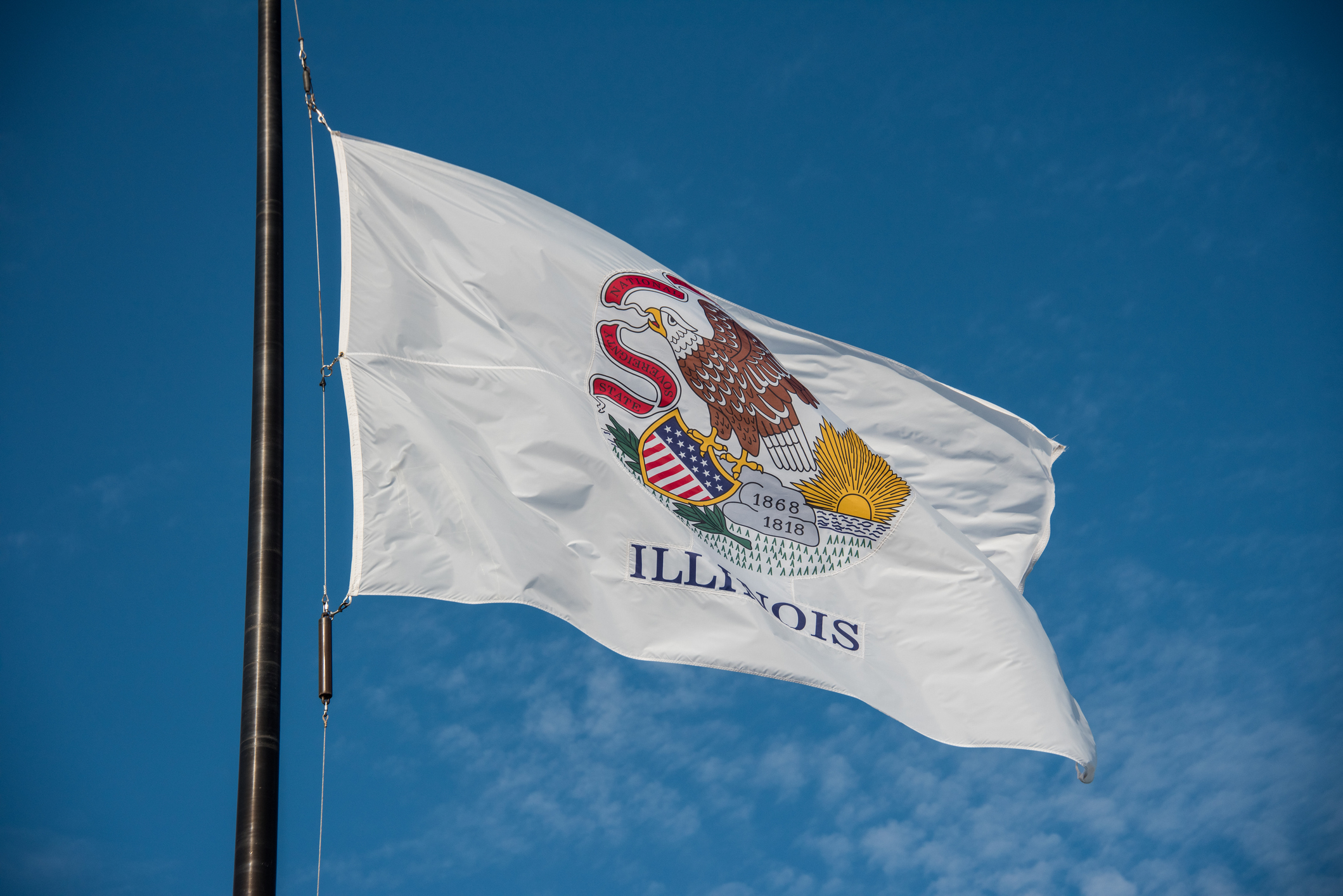 Bid Protests in Illinois