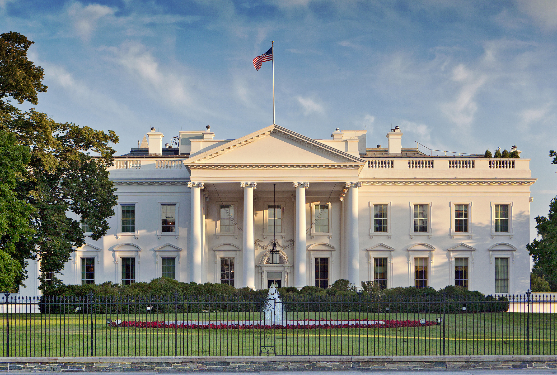 What to Do if Your Government Contract Is Terminated per the New DEI Executive Order